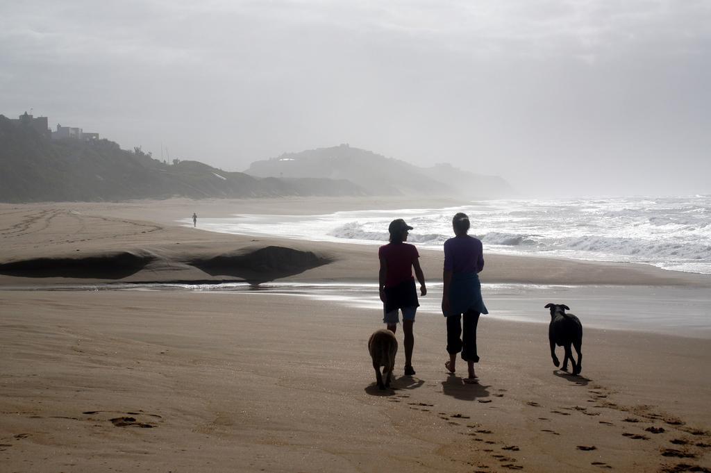 The Pink Lodge On The Beach Wilderness Bagian luar foto